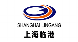 Lingang Special Area